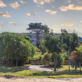 Sam's Garden - Casa Cello - Xplorio™ Stanford