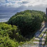 Path to Ocean - Whale Huys Oceanfront Eco Villa - Xplorio™ Gansbaai