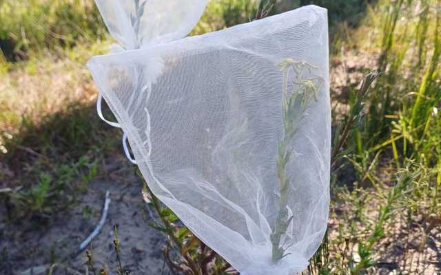 Blog_2_1_4_1724743481