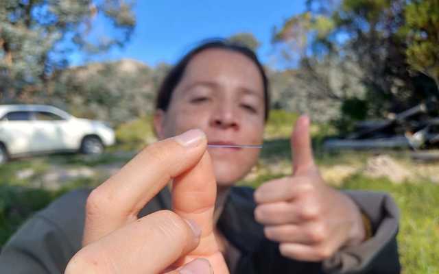 Blog_2_3_1_1724743479