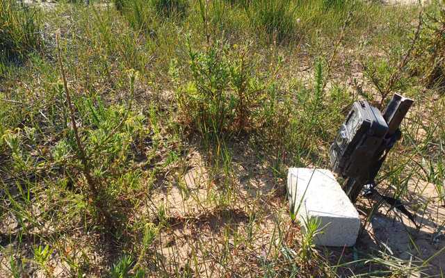 Blog_2_4_1_1724743480