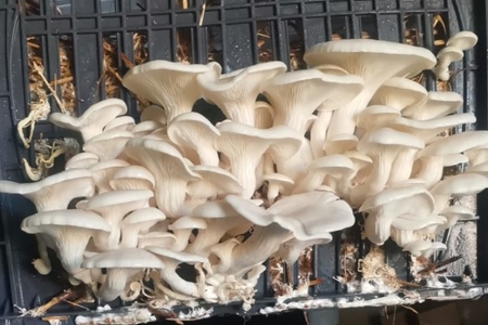 445821270_2127732174268445_5861383364705542416_n_1724745245