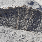 Overberg Geoscientists Group - Xplorio™