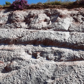 Overberg Geoscientists Group - Xplorio™