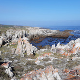 Overberg Geoscientists Group - Xplorio™