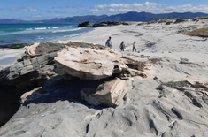 overberg_geoscience_group_26_1724851827
