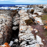 Overberg Geoscientists Group - Xplorio™