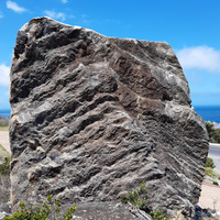 32 Tons of Peninsula Formation Sandstone - Overberg Geoscientists Group - Xplorio™