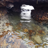 Overberg Geoscientists Group - Xplorio™