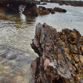 Overberg Geoscientists Group - Xplorio™