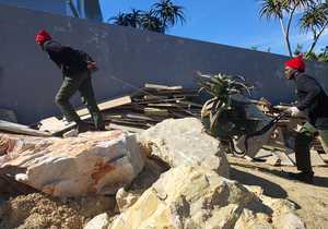 Indigenous Plant Landscaping Skills for Horticulture Students
