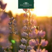 Spring Into Your Dream Home with Pam Golding Properties