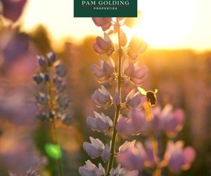 Spring Into Your Dream Home with Pam Golding Properties