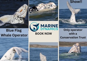 Marine Big 5 Adventure This Weekend!