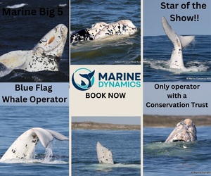 Marine Big 5 Adventure This Weekend!