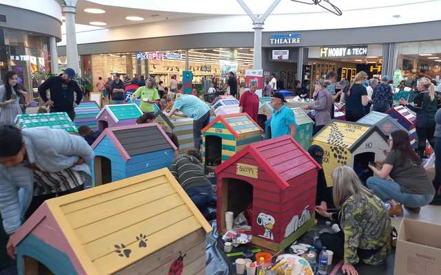 457382951_10162114150814809_1890744664020420328_n_1725283562