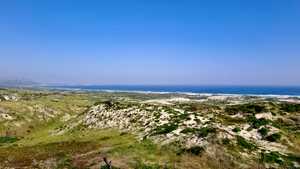 12 Months of Rooikrans Clearing