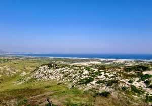 12 Months of Rooikrans Clearing