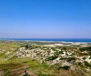 12 Months of Rooikrans Clearing