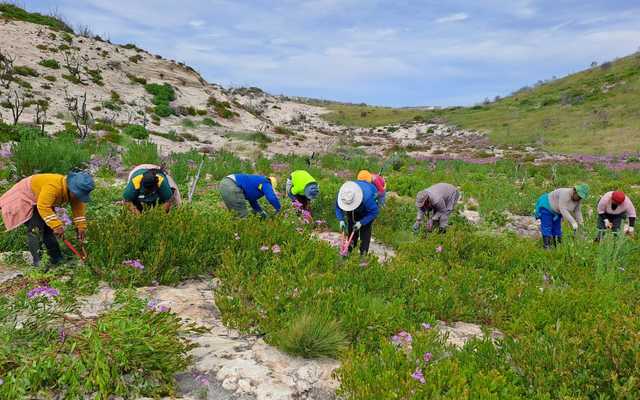 Blog_2_2_7_1725346406