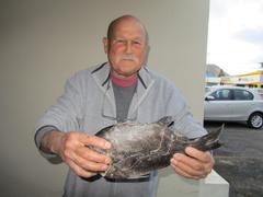 Galjoen Competition 2024: Big Prizes and Exciting Surprises