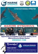 Next Shark Cage Diving Trip: 4 September 2024