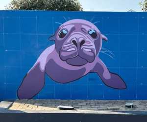 New Mural Unveiling on Main Road