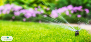 Spring Ready: Time to Activate Your Irrigation System!