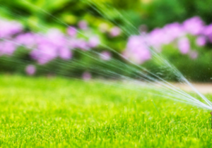 Spring Ready: Time to Activate Your Irrigation System!