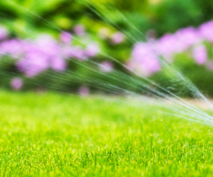 Spring Ready: Time to Activate Your Irrigation System!