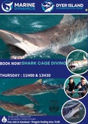 Next Shark Cage Diving Trip: 5 September 2024