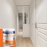 Prominent Paints: Select Wall and Ceiling Paint