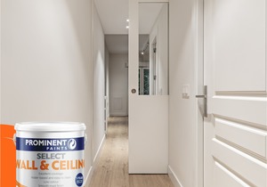 Prominent Paints: Select Wall and Ceiling Paint