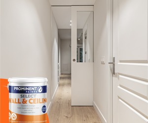 Prominent Paints: Select Wall and Ceiling Paint