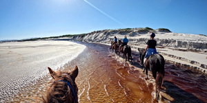 Pearly Beach Horse Trails