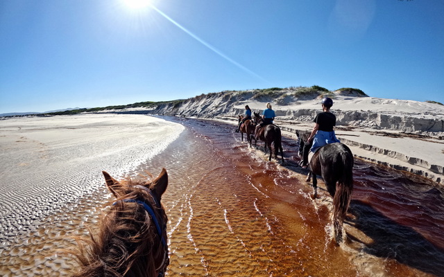 Pearly Beach Horse Trails Pearly Beach Horse Trails
