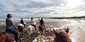 Pearly Beach Horse Trails