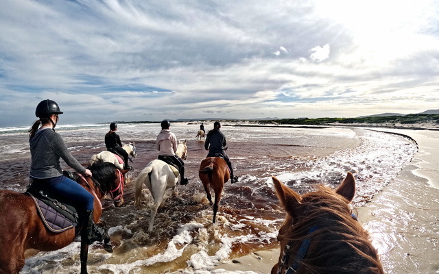 Pearly Beach Horse Trails Pearly Beach Horse Trails