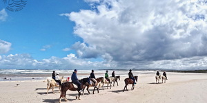 Pearly Beach Horse Trails