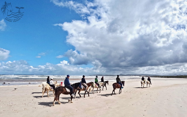 Pearly Beach Horse Trails Pearly Beach Horse Trails