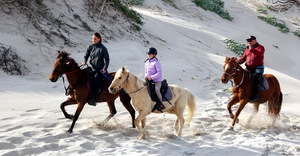 Horseback Adventures on the Cape Whale Coast This Spring