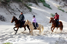 Horseback Adventures on the Cape Whale Coast This Spring
