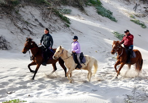 Horseback Adventures on the Cape Whale Coast This Spring