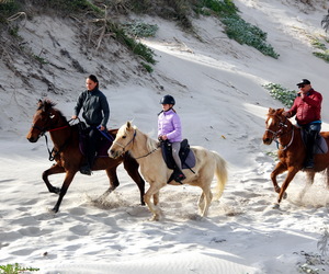 Horseback Adventures on the Cape Whale Coast This Spring