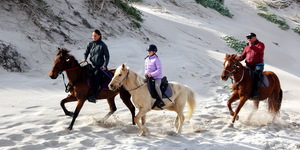 Pearly Beach Horse Trails