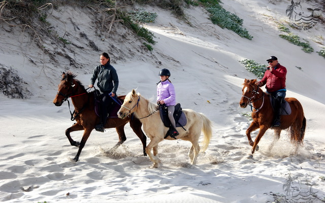 Pearly Beach Horse Trails Pearly Beach Horse Trails