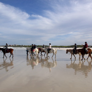 Pearly Beach Horse Trails