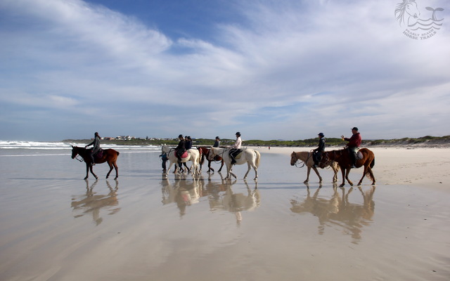 Pearly Beach Horse Trails