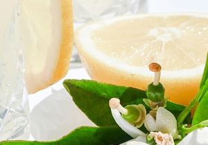 Boost Well-being with Mai Co's Neroli Essential Oil