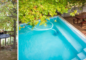 Last-Minute Getaway at Alexander Accommodation!